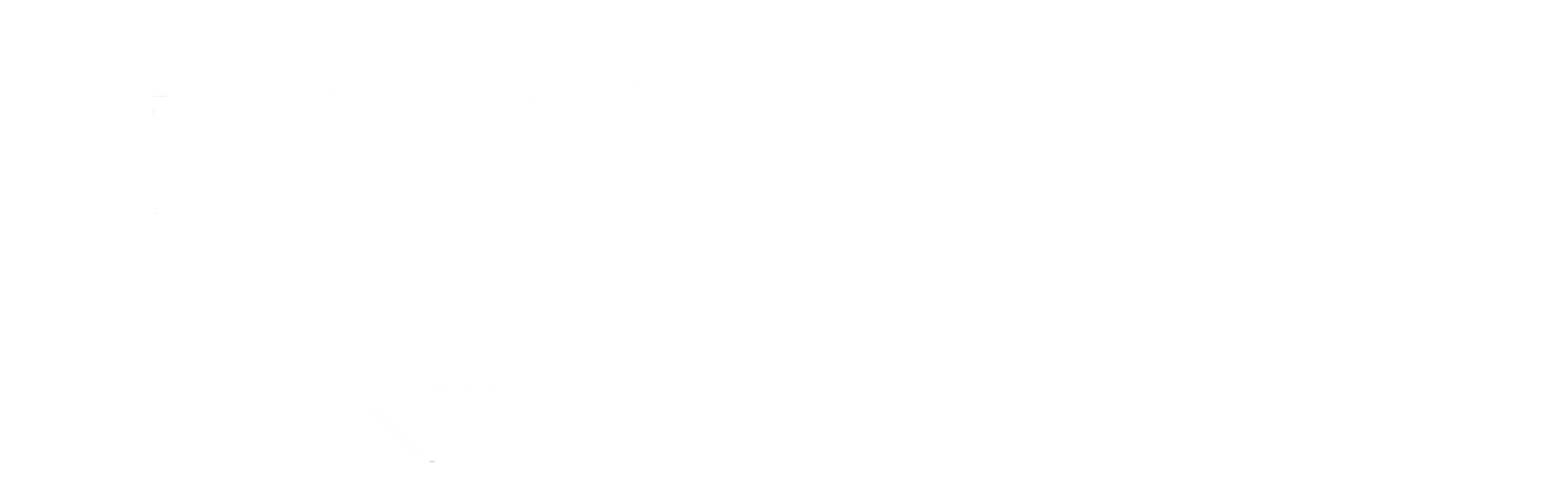 Ruhys logo